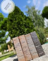 Облицовочный Славянский кирпич одинарный 1 НФ Манчестер кроста